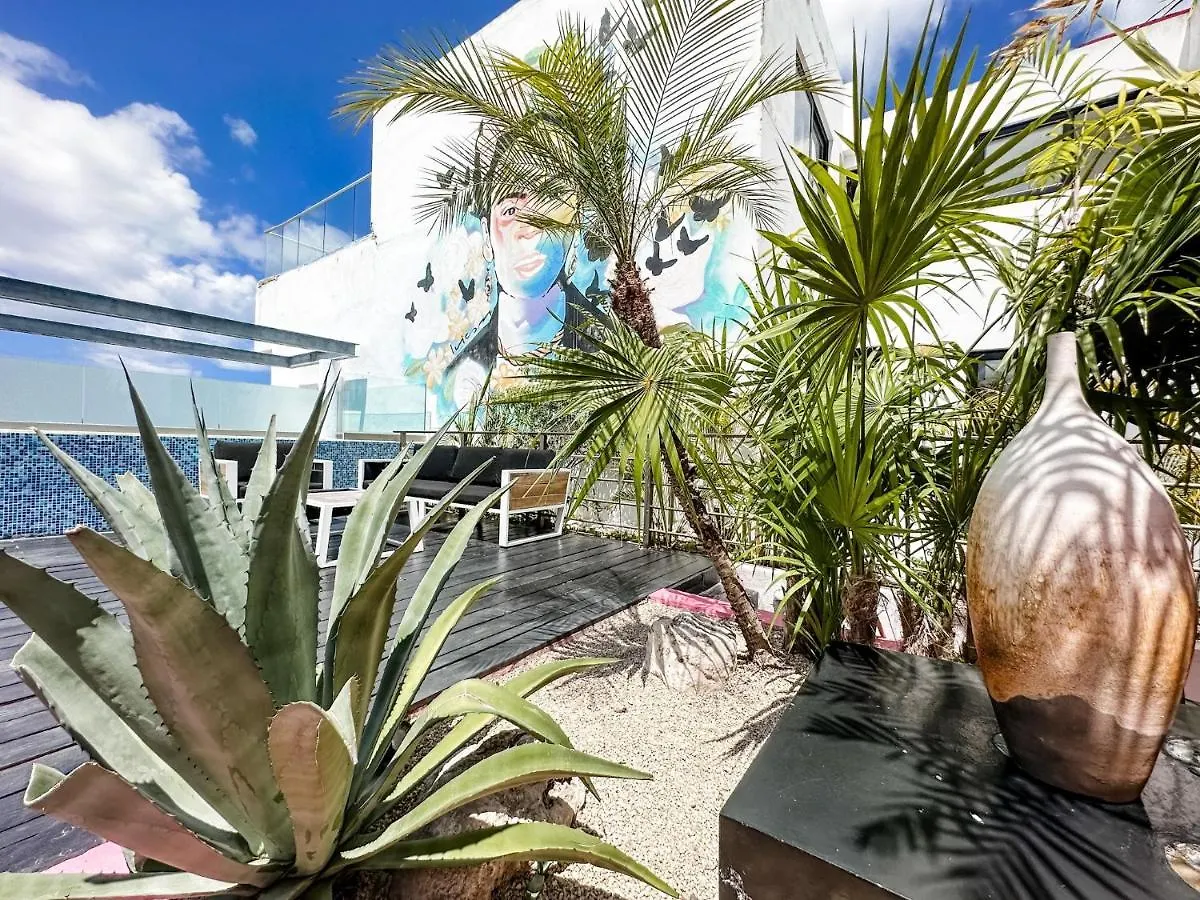 Dc 1103 Trendy Condo In Mamitas Beach Area Half Block To 5Th Mexico